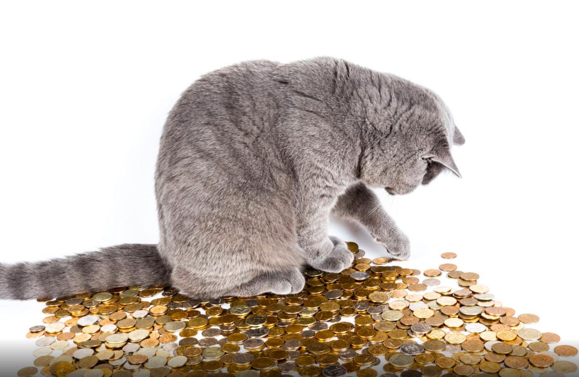 决定全年75%收入的4、5月份，你可以试试免费课