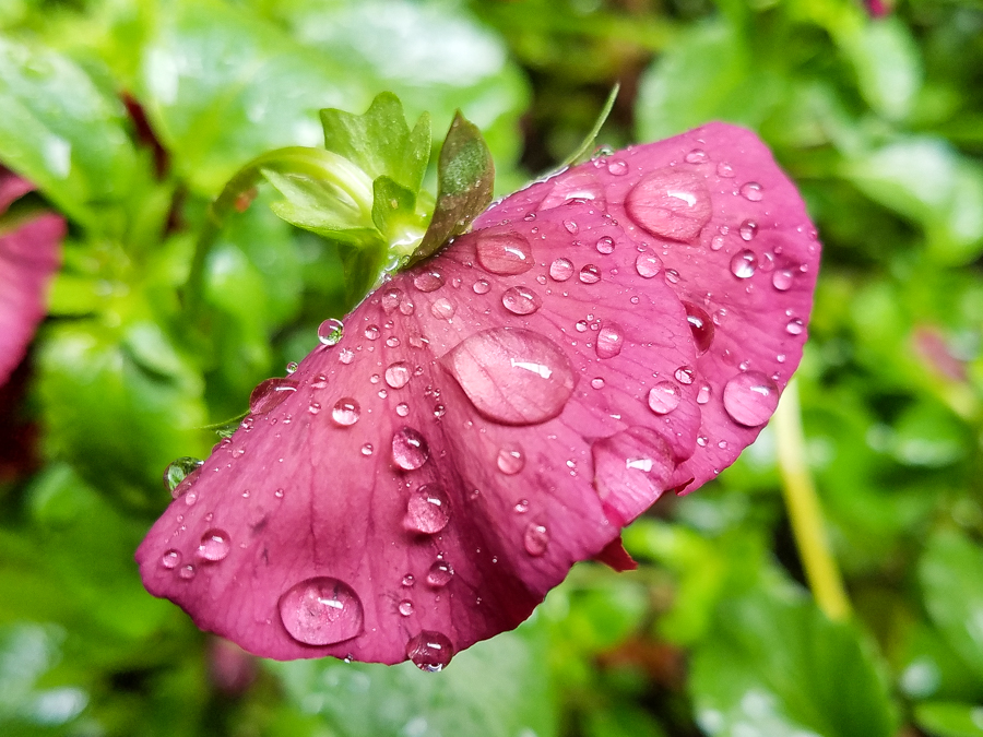 如何评价vivoxplay5,2020年vivoxplay5值不值得入手