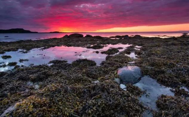 情迷魁北克灯塔|海岸线上的灵魂