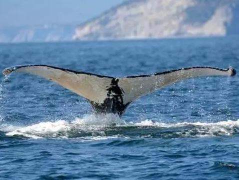 情迷魁北克灯塔|海岸线上的灵魂