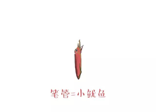 墨鱼章鱼鱿鱼哪个适合做冷菜,章鱼鱿鱼墨鱼哪种酱爆好吃