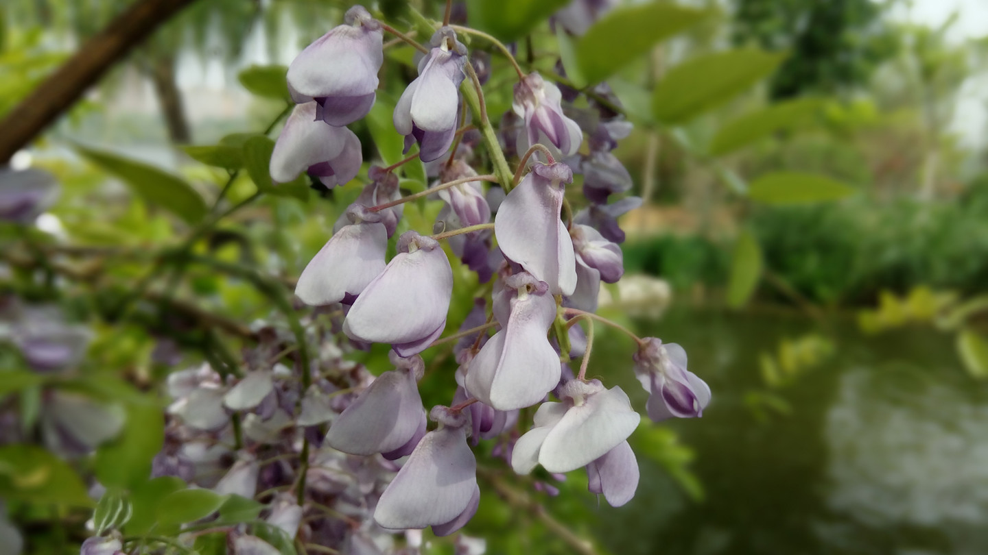 泉城诗画——360手机f4相机体验