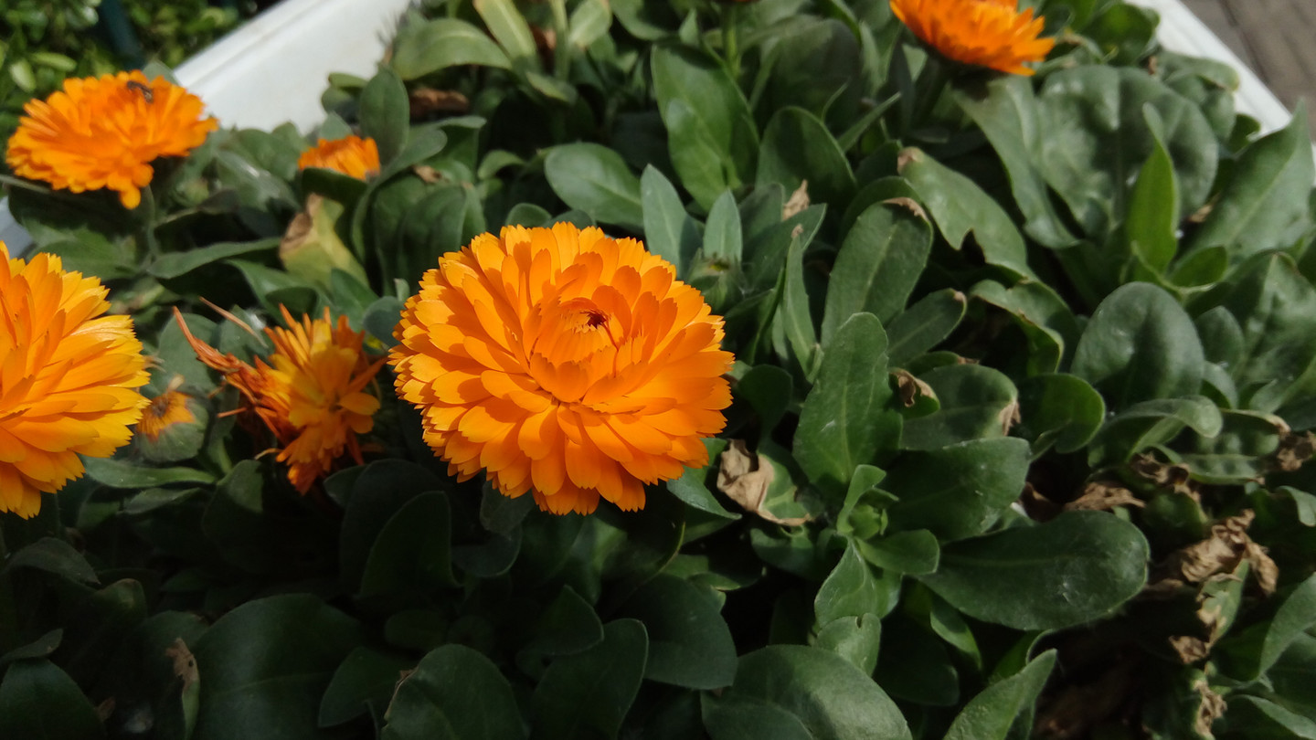 泉城诗画——360手机f4相机体验