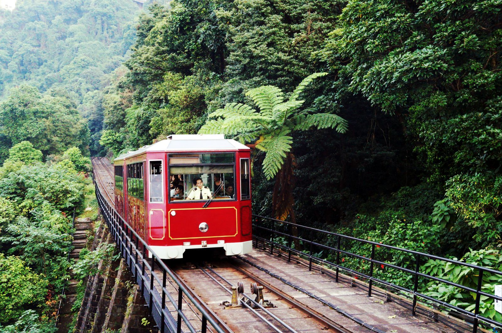去香港哪里买便宜又好,去香港旅游能买什么东西