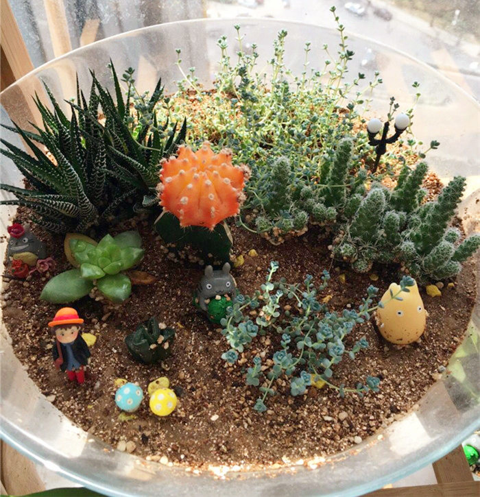 族长说美文美食视频菜谱:乐活不是一个人的事儿