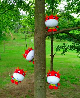 努比亚拍照机,努比亚拍照黑科技