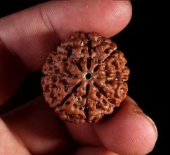 入门的金刚值得盘吗,印尼金刚有盘玩价值吗