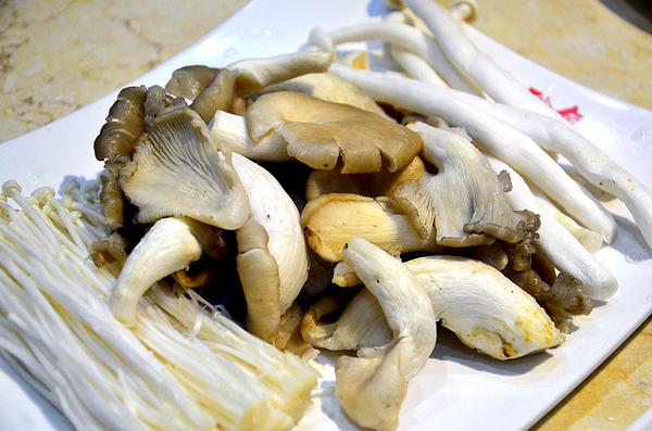 七秒鱼的记忆完整版,七秒记忆的鱼七秒记