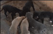 愚人节整人创意句子,愚人节整人创意图片