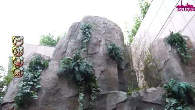 上海青花池温泉,万源清花池上海闵行店