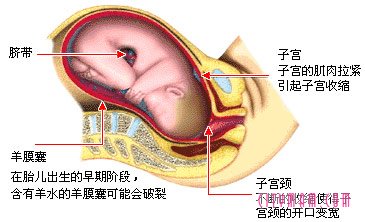 分娩开十指真有那么宽吗,自然分娩时开十指有多大