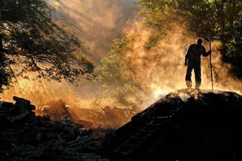 最忙的几个行业,最忙的行业是什么