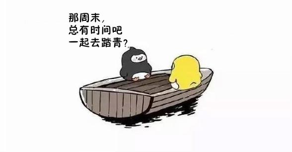 友谊的小船说翻就翻舞台剧,友谊的小船说翻就翻猫和狗