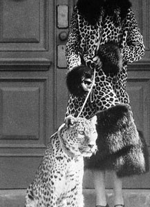 “china”这点事儿：有钱人都在用什么喝茶？