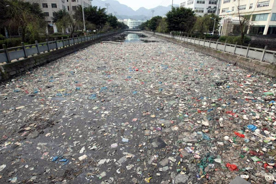 每日音乐心情,世界地球环境日音乐