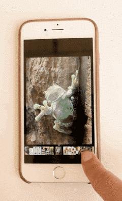 别说没告诉你：11个小功能，让你玩转iPhone6s！