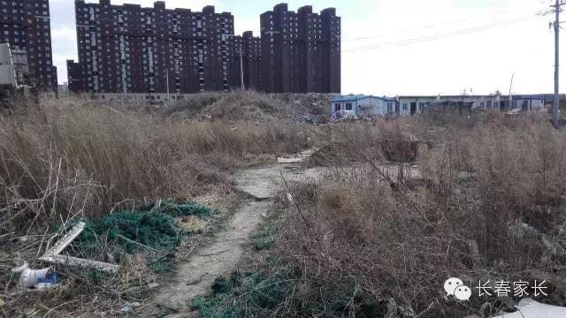 长春高新区慧仁慧谷尚德哪个好,长春高新技术产业开发区慧仁学校