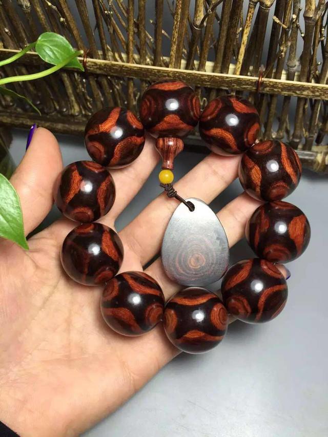 紫檀柳和海黄价钱差距,紫檀柳和海黄是一个品种吗