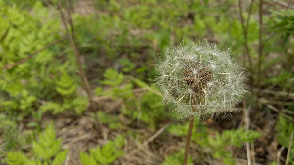 oppor9详细评测,oppor9详细测评
