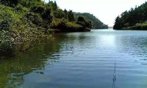 钓鱼风浪大怎么调漂,钓鱼碰到风浪大时如何调漂