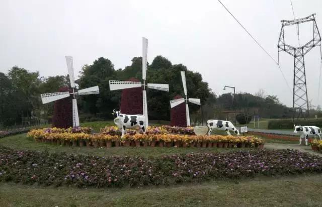 冬天成都两天来回得哪里去玩,成都3-5天短途旅游推荐