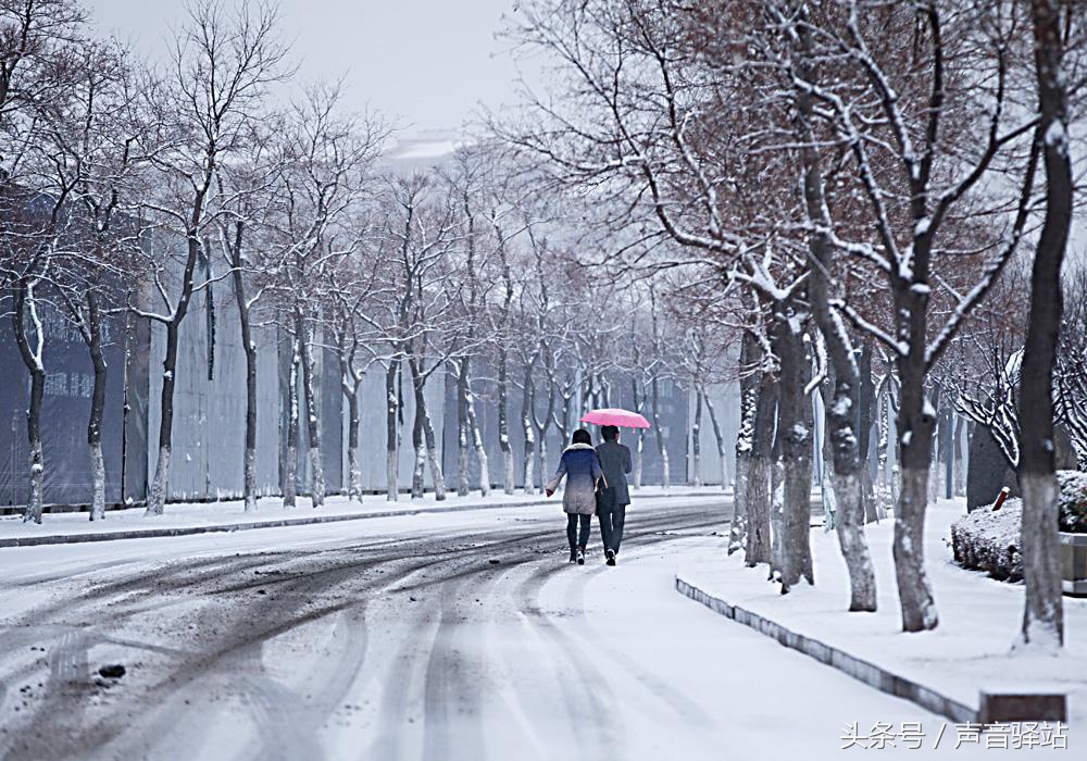 冬日恋歌最暖的歌,关于冬日恋歌的歌曲