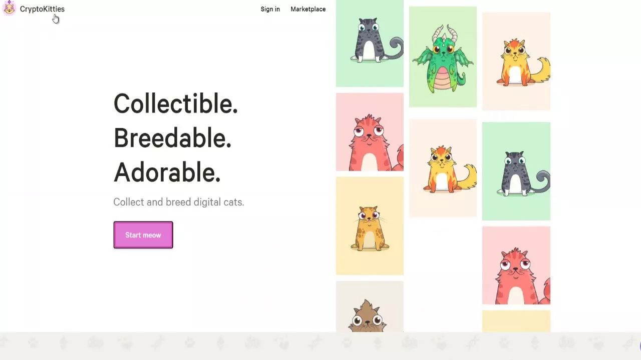 以太坊养猫详解,云养猫以太坊最新消息