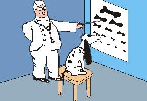 这些狗狗弃养率最高看完心碎一地,狗狗失明的症状