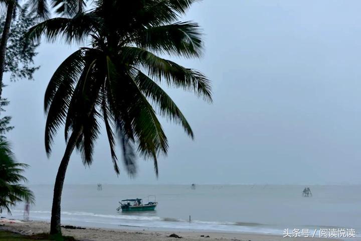 海南东郊椰林旅游攻略,海南静谧的椰林