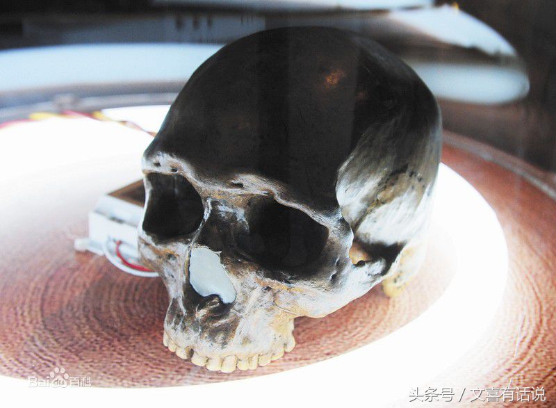 达尔文进化论很多现象解释不通,达尔文进化论是最大的伪科学吗