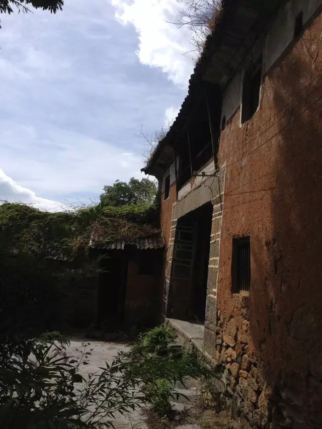 因为爱情，让旅途中的他们留在了大理