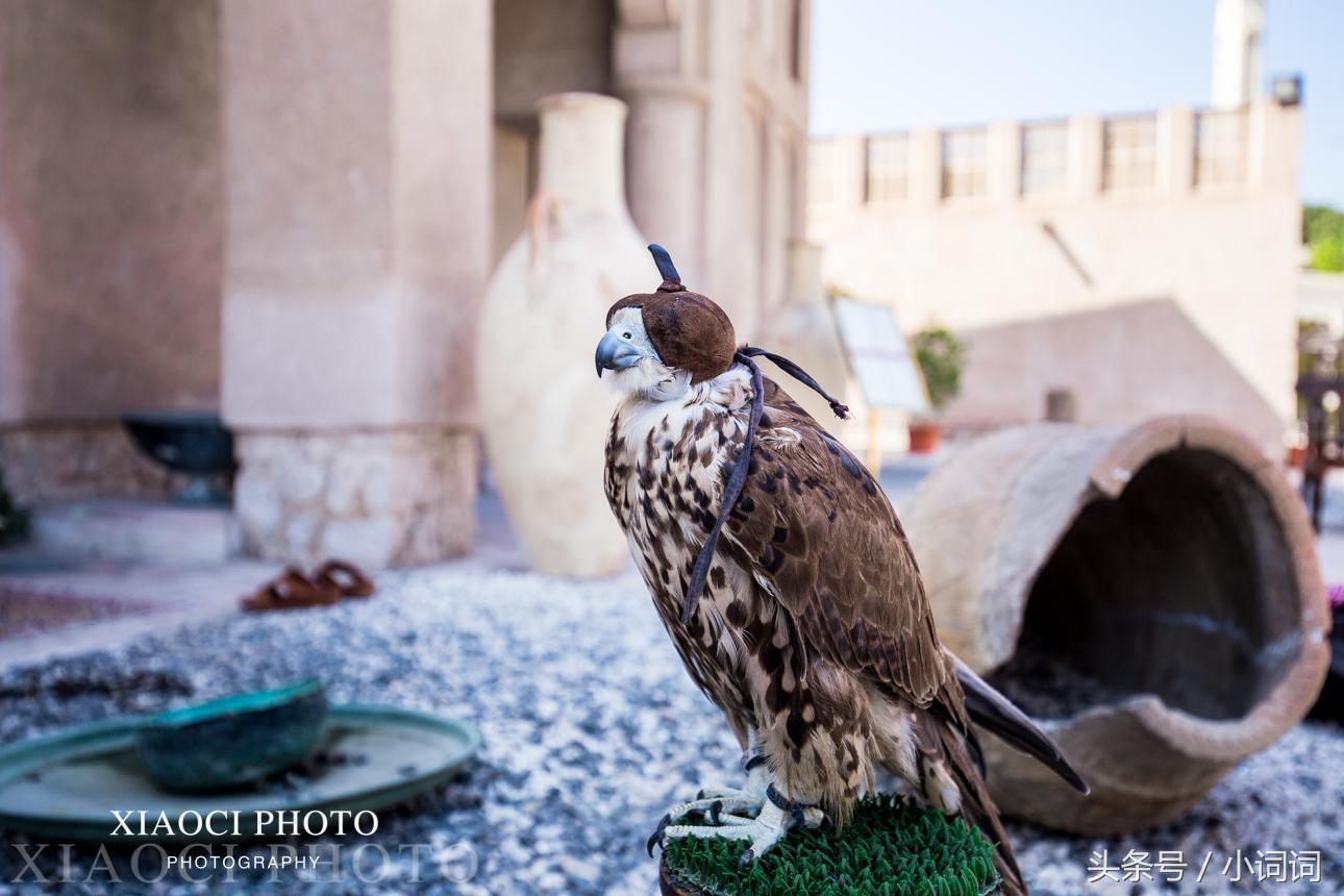 迪拜亲子游去哪里好玩,迪拜适合带孩子去旅游吗
