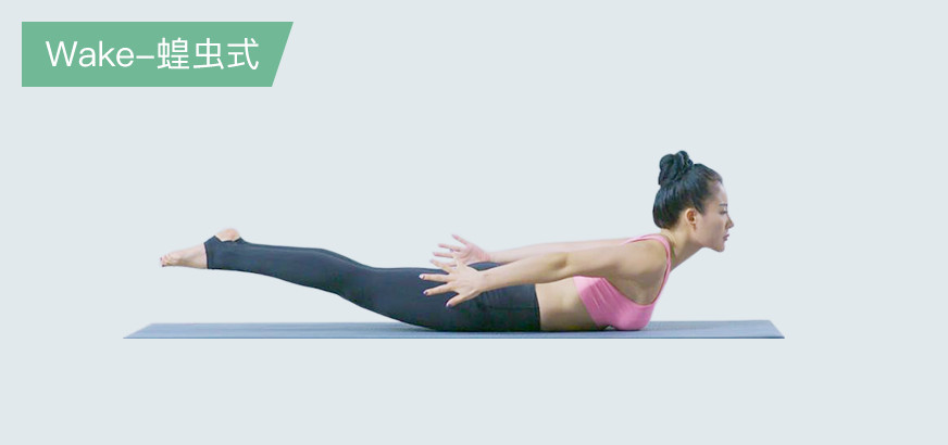 有效快速瘦腰,帕梅拉蚂蚁瘦腰训练