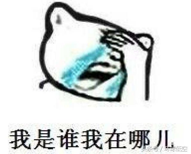 滑翔翼飞行零基础,飞行员技术分享