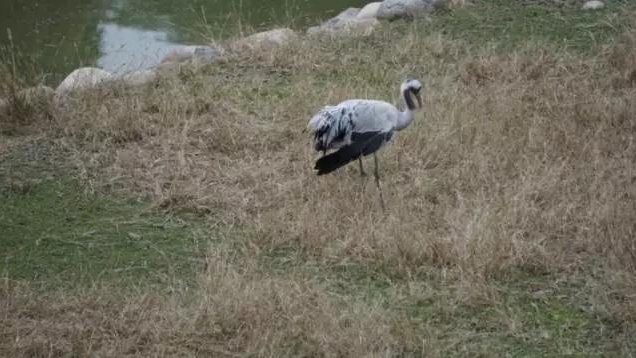 北京什么公园免费景点最多,北京又有什么好玩的景点
