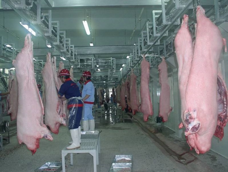 生猪屠宰场涉食品安全案件,猪肉类食品安全事件案例