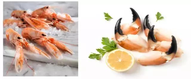 海鳌虾极品刺身,新西兰最好吃的海鳌虾