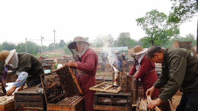 为什么超市蜂蜜那么便宜,超市买的蜂蜜为什么不结晶