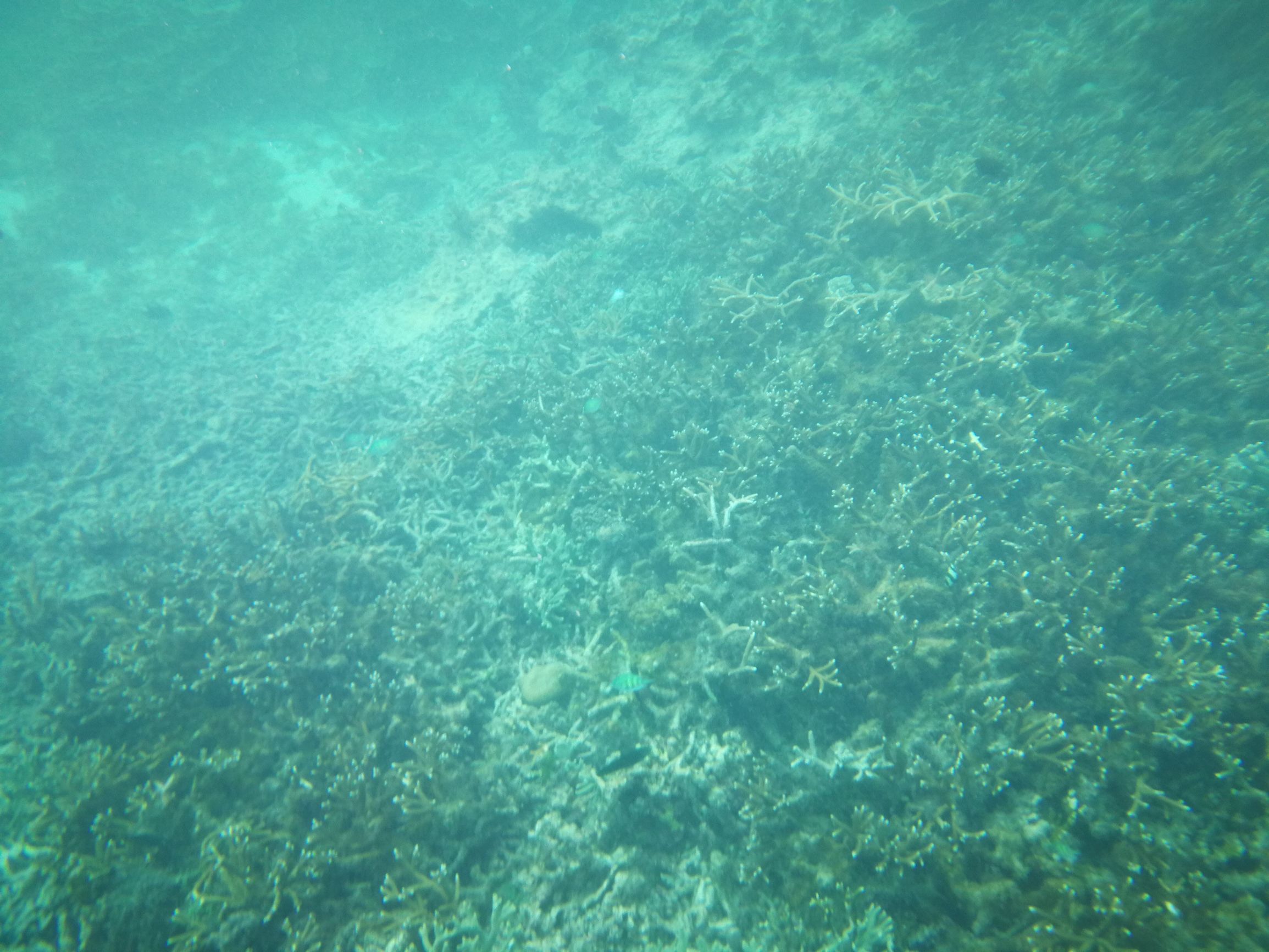 沙巴自由行超详细攻略,第一次去沙巴订的酒店怎么样