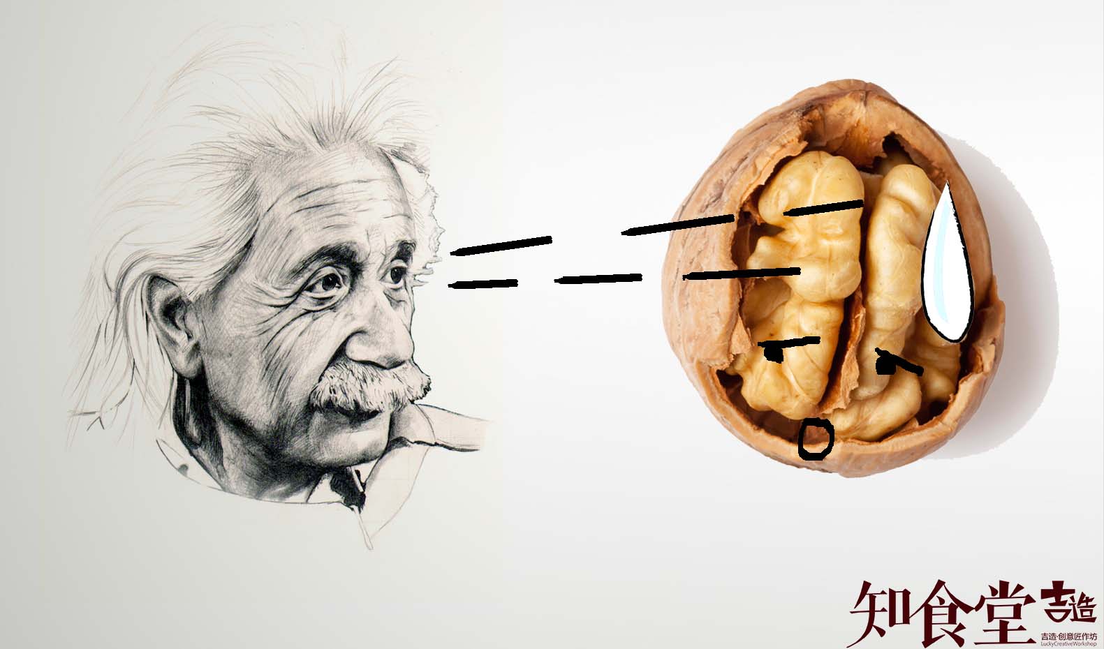 核桃怎么吃对大脑最好,吃核桃对大脑变聪明吗