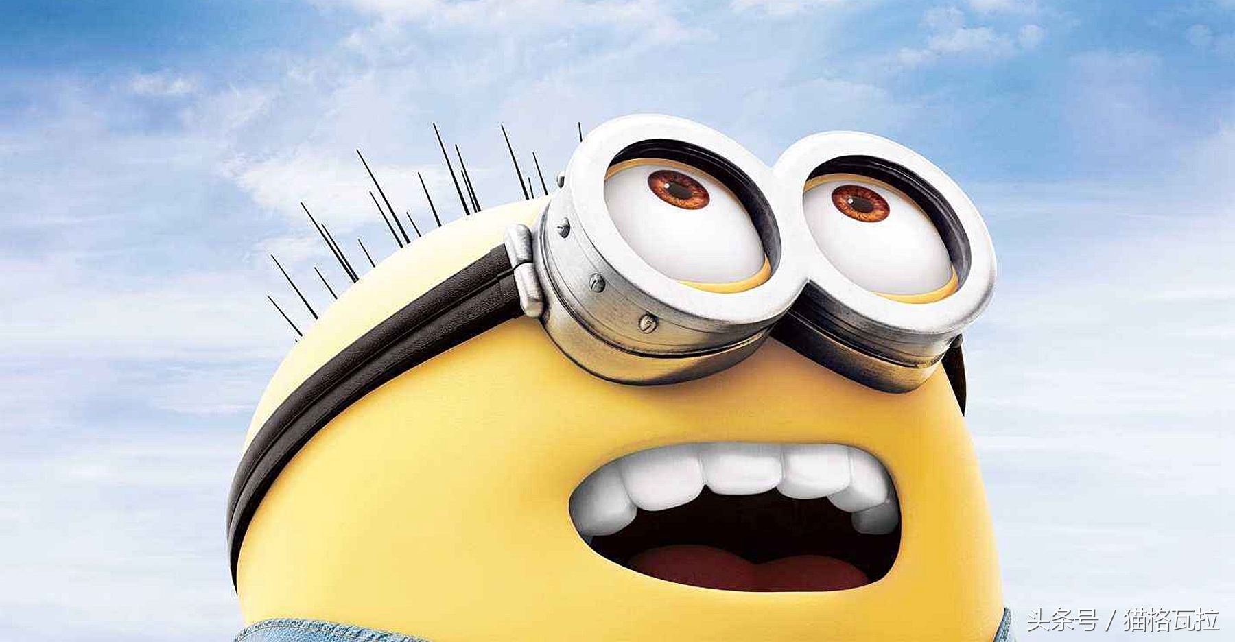 ta可以萌你一脸血不偿命,也有着你不知道的十个秘密