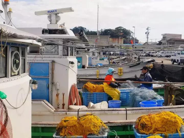 中北部升龙道深度游攻略,日本龙岛旅游攻略