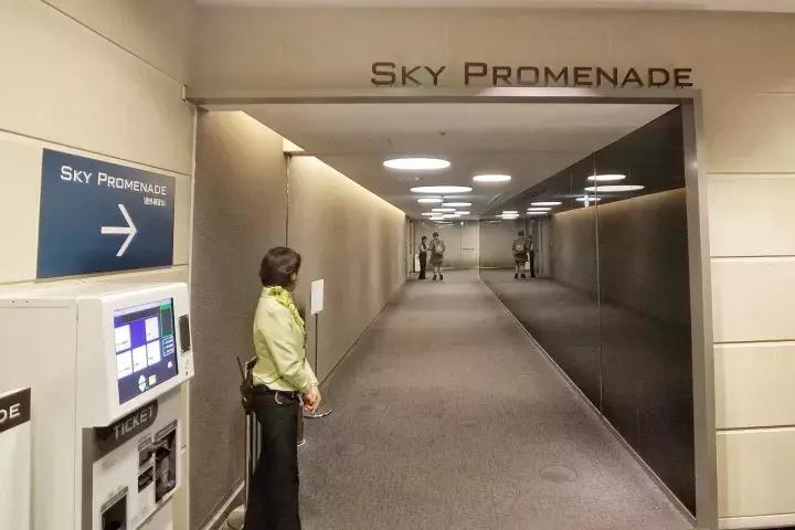 中北部升龙道深度游攻略,日本龙岛旅游攻略