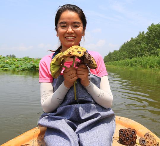 洪湖80后夫妻网络直播挖藕,“青泥巴”里一年淘金600万