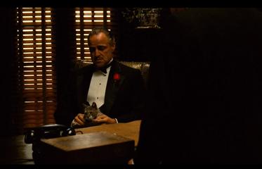 三傻大闹宝莱坞和阿甘正传,100部印度老电影三傻大闹宝莱坞