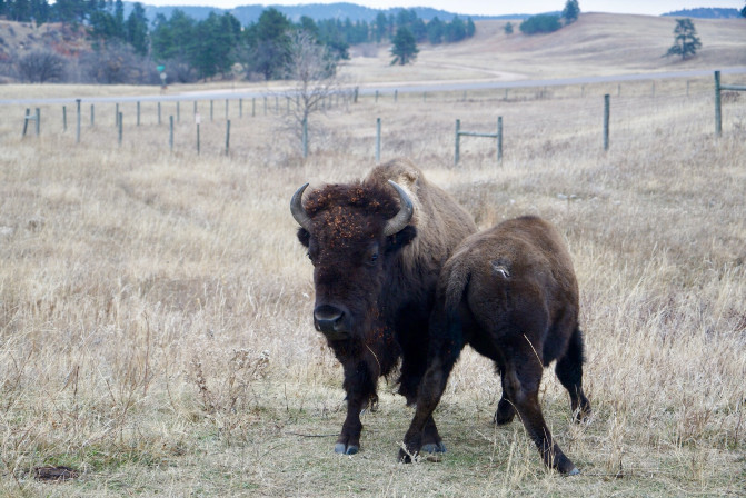 科罗拉多州到洛杉矶,科罗拉多州五月自驾