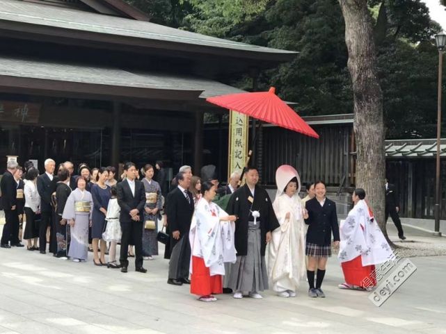 日本第一次去东京要注意什么,去日本大阪一周攻略