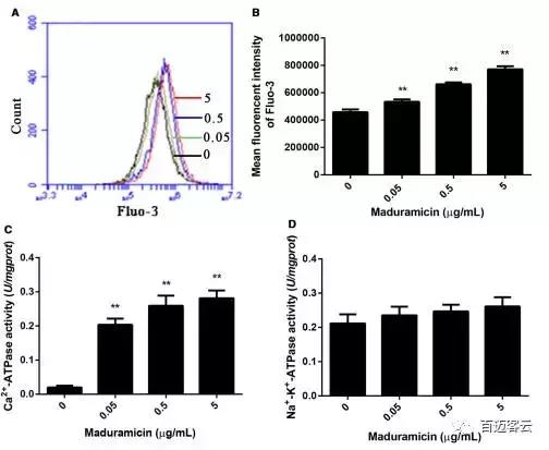 「云项目文章」关于抗生素心肌中毒,你可能不知道的那些事儿
