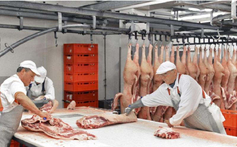 生猪屠宰场涉食品安全案件,猪肉类食品安全事件案例