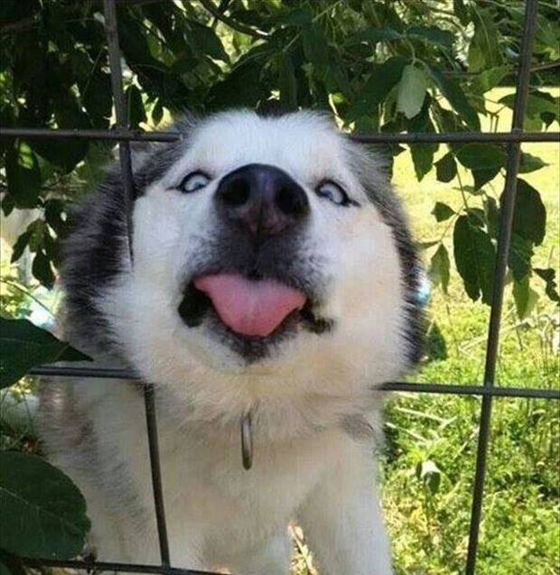 马上过年送你几句祝福语,马上就要过年了送你几句祝福语